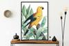 Poster Parrot Gold Plants In Black Frame