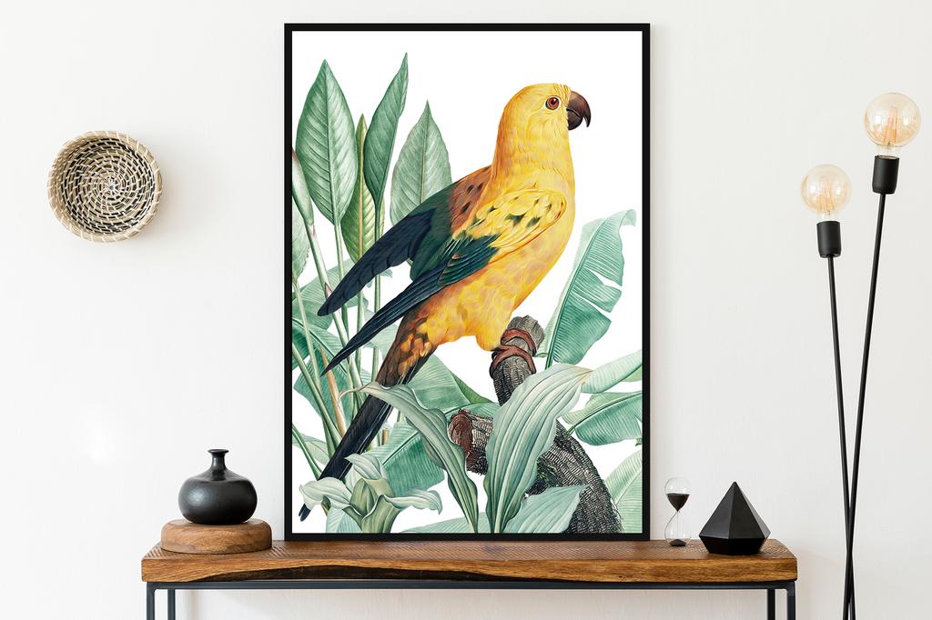 Poster Parrot Gold Plants In Black Frame