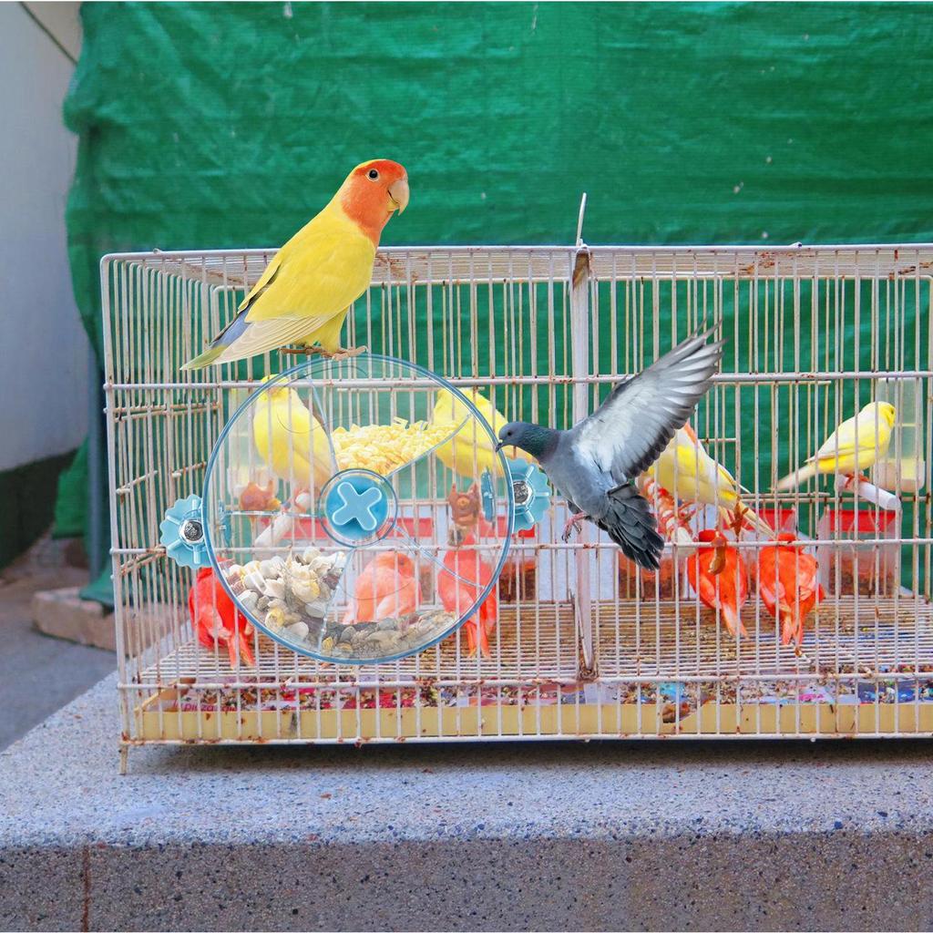 Futterrad Futter Drehen Trainingsspielzeug Futterrad Futterspender Training Für Vögel Papagei Wellensittiche Kakadus Langeweile Reduzieren Käfig