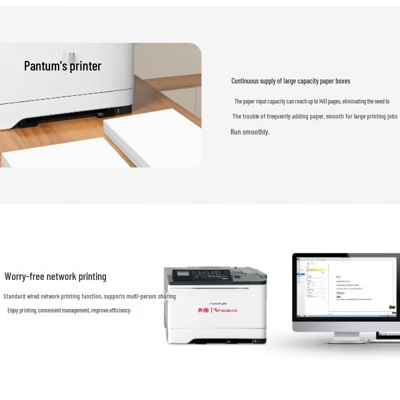 Pantum Professional Laser Printing & Imaging Solutions CN Plug (adapter Included)