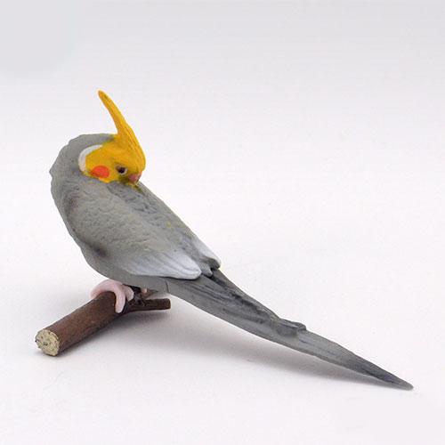 Good Morning Bird Series Gashapon Toys Budgerigar Cockatiel Lovebird Action Figure Model Ornaments Toys