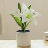 Fake Flower 3D Printing Film Small Lily Bonsai Creative Artificial Flower Interior Decoration Decoration Factory Simulation Pot