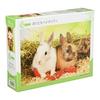 APPLEONE Jigsaw Puzzle 88-107 We Are Vegetarians 88 Pieces (38×26cm) Large Pieces Brain Training Edu