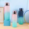 1 Liter Large Capacity Sports Water Bottle Leak Proof Colorful Plastic Cup Drinking Outdoor Travel Portable Gym Fitness Jugs Lyp014