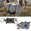 Anti Breeding Apron For Goats Sheep Breeding Control Apron With Adjustable Strap Anti Mating Apron Clothing For Goat