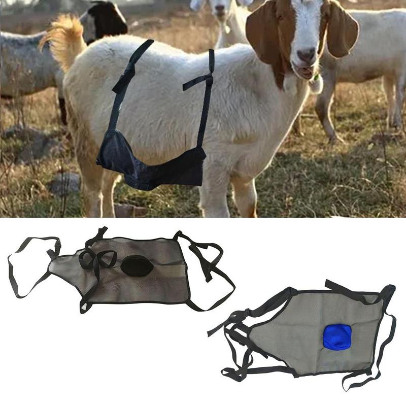 Anti Breeding Apron For Goats Sheep Breeding Control Apron With Adjustable Strap Anti Mating Apron Clothing For Goat