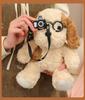 Cute Egg Tart Dog Plush Toy with Glasses - Palm-Sized Cloth Doll for Girls