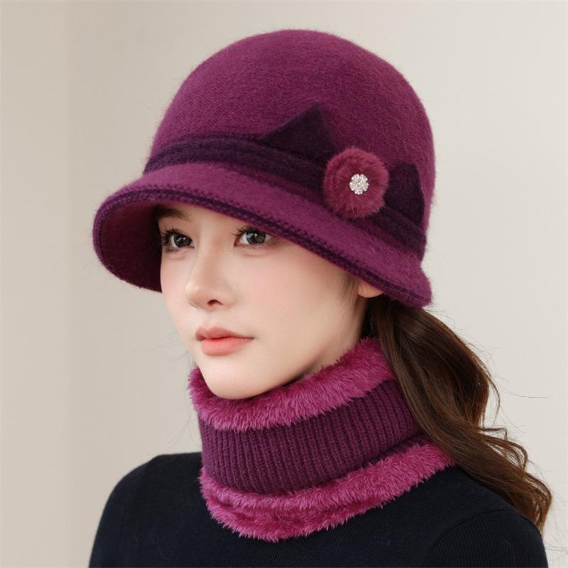 Hat female autumn and winter versatile foreign style in the elderly velvet cycling windproof cold winter warm mother wool hat