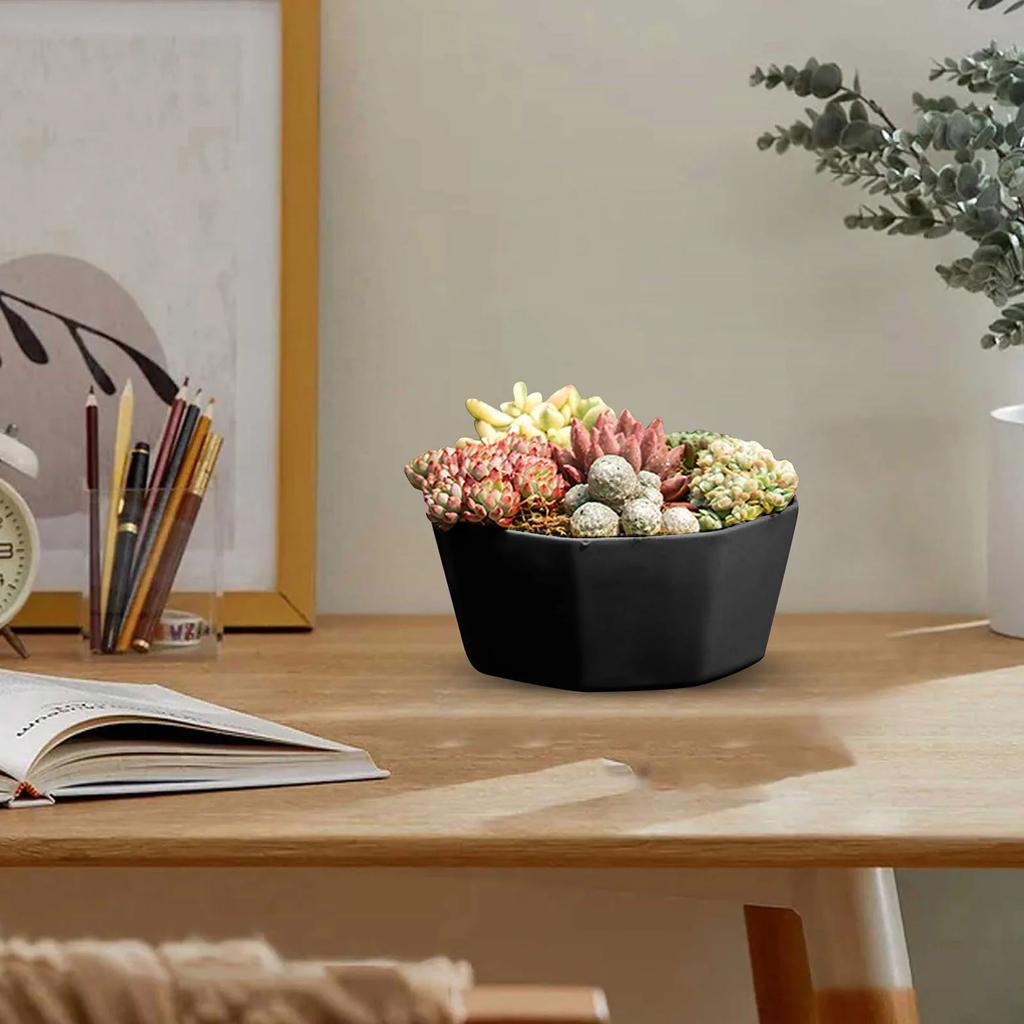 1/3/4pcs Morden Decorative Creation Flower Pots and Planter with Tray for Indoor Outdoor Garden House PlantsAfrican Variety