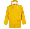 Weather Report Raincoat
