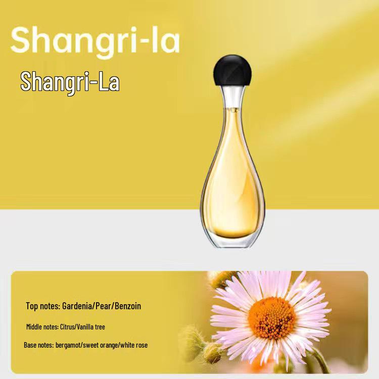 

Automatic Indoor Aroma Diffuser for Bathroom & Bedroom with Perfume Refill