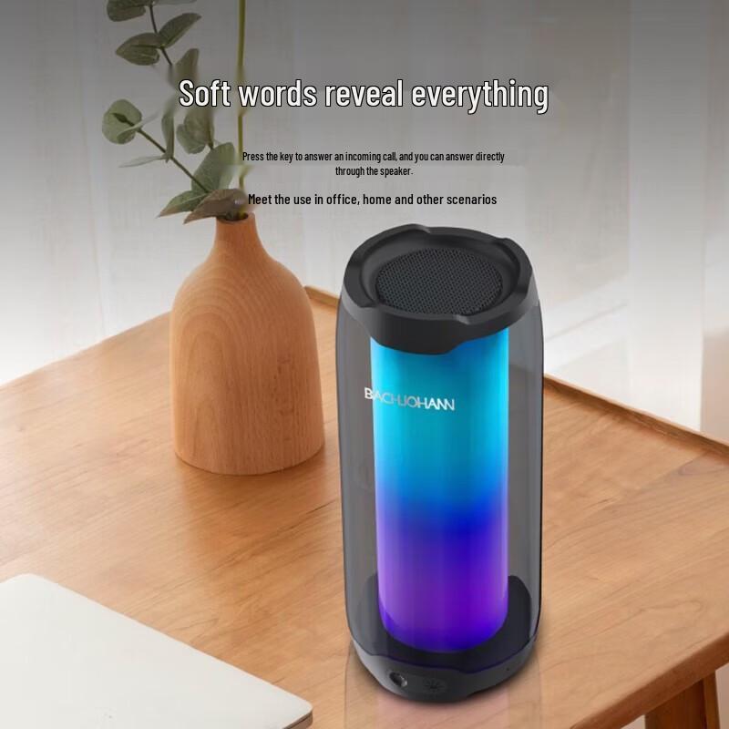 Bach Johann L4 Bluetooth Karaoke Speaker CN Plug (adapter Included)