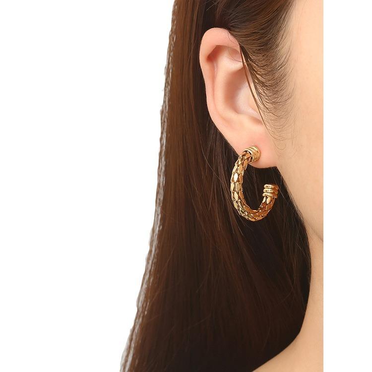 European and American Fashion Mesh Chain Round Stainless Steel Earrings Women's Trend 18K Gold Light Luxury Versatile Earrings