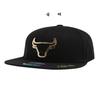 [NBA] CHI Bulls Outline Metal High Flat Snapback N245AP614P