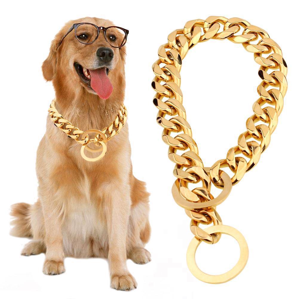 Gold Stainless Steel 15mm P Chain Dog Leash Necklace Collar 14 inch (35.5 cm)