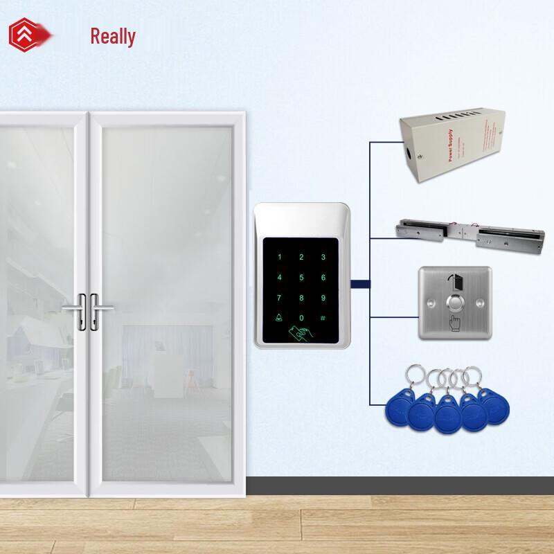 Realand X303 Outdoor Waterproof RFID Access Control System Kit CN plug (adapter included)