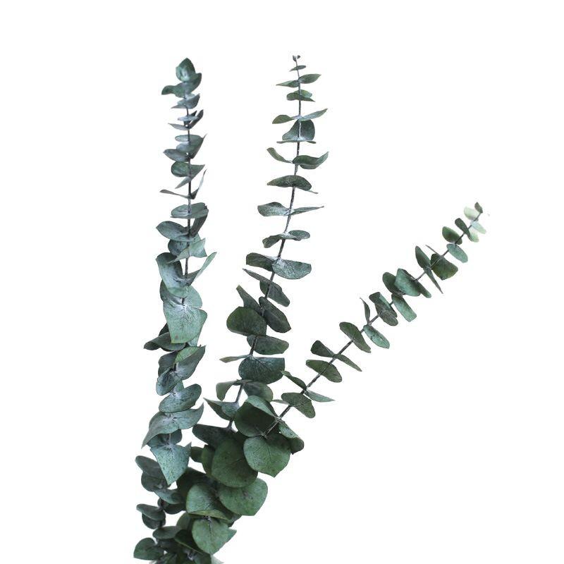 Yunnan Dried & Immortal Flowers Bouquet: Baby's Breath, Roses, Forget-Me-Nots for Home & Homestay Decor