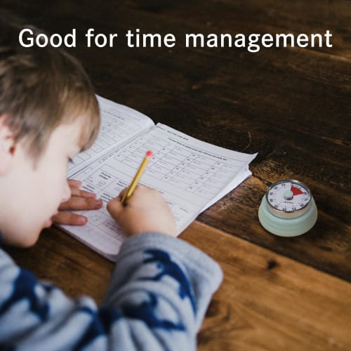 Dretec Dial Timer, Analog Timer, Kitchen, Retro, Cute, Study, Cooking, Loud Volume, Magnetic, Auto Shut-Off, Up to 60 Minutes, Red