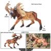 Wild Safari Animal Figurines: Giraffe, Elephant, Rhinoceros, Brown Bear, Tiger, Lion, Leopard, Hippopotamus - Solid Cognitive Toys