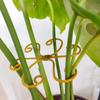 5Pcs Plant Stem Support Reusable Monstera Plant Support Plant Stabilizer for Indoor Plants