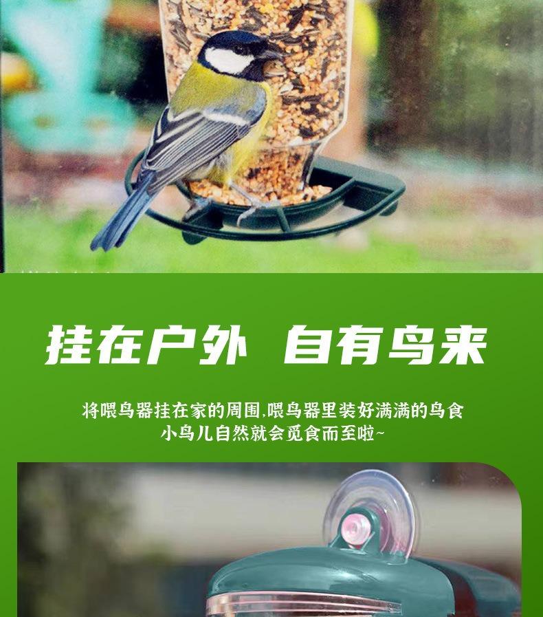 Hanging Bird Feeder Transparent Plastic Automatic Feeder With Lid Creative Suction Cup Outdoor Bird Feeding Device For Bird