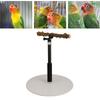 Parakeet Bird Play Stand Bird Perch Parrot Stand Bird Rack Bird Resting Place Height Adjustable 30cm-94cm