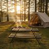 4 Pieces Mesh Folding Table Multi-Functional Outdoor Gear Heavy Duty for Campers