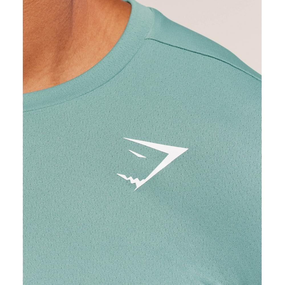 Gymshark Arrival Long Sleeve T shirT muTed Teal A2a1h Tbwq