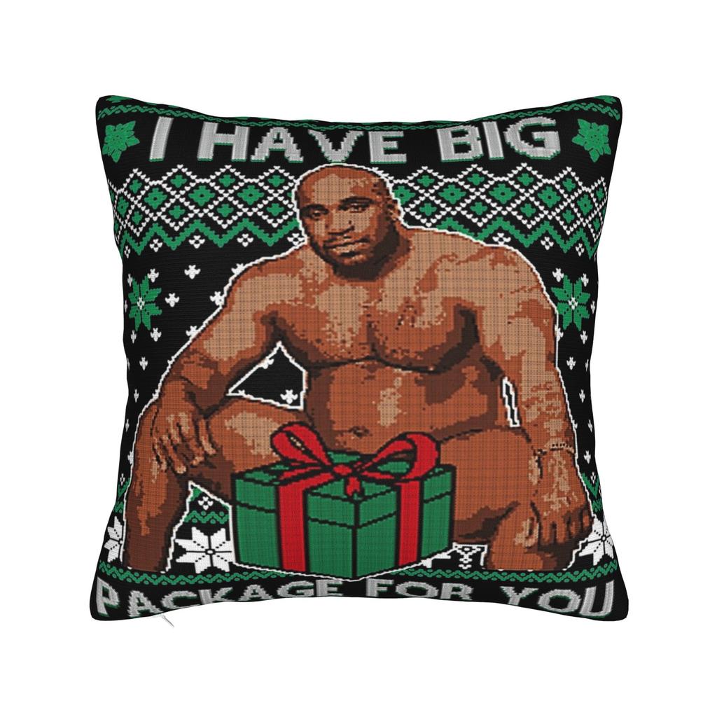 Decorative Pillow Cover Funny Barry Wood Meme Christmas Accessories Car Pillow Case Cover Zippered Multiple Sizes