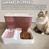 Pet Cat Food Automatic Dispenser Large Capacity Drinking Water Bowl Dry and Wet Separation Dog Food Container Cat Accessories