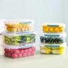 Hanbang Fangyuan Plastic Refrigerator Food Storage Container
