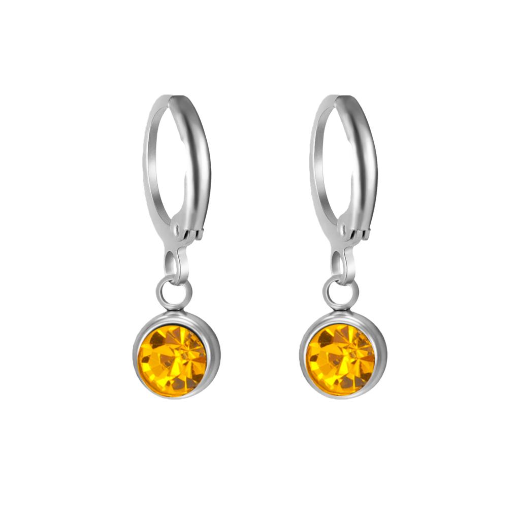 Birthstone Earrings Hoop Earrings Girl Women Stainless Steel Jewelry Family Friend Birthday Valentine's Day Gifts 2025 Trend