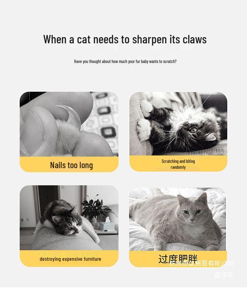 Sisal-Katzenbett & Kratzbaum-Kombination - Kratzfester Wellpappe-Liegesessel für Kätzchen