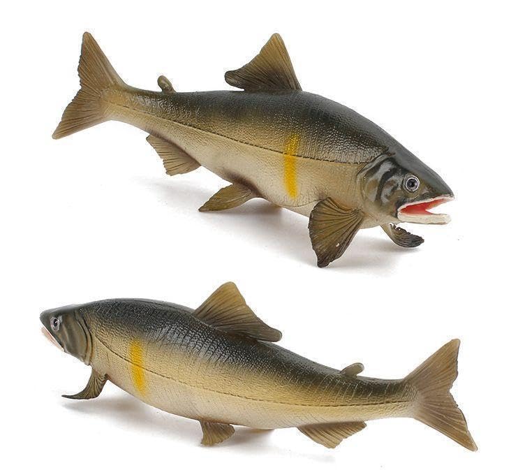 [Nekogamiyama] Ayu (Sweetfish) River Fish Figurine Model Miniature Ornament Decor Collector's Model