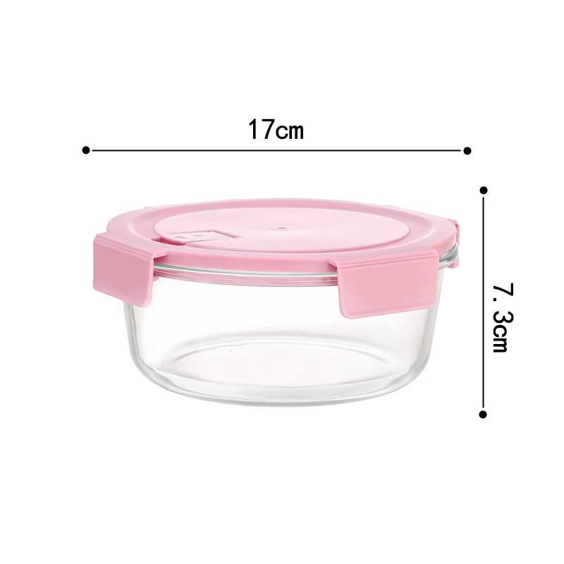 ZISIZ Insulated Glass Lunch Box