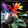 Glass Plant Cup for Aquariums for Enhancing Fishtanks Aesthetic Hydroponic Plant Holder for Fishtanks Underwater Decors