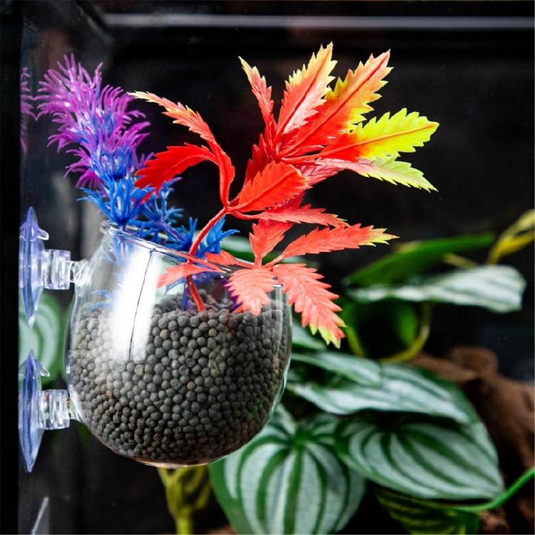 Glass Plant Cup for Aquariums for Enhancing Fishtanks Aesthetic Hydroponic Plant Holder for Fishtanks Underwater Decors