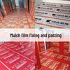 Cloth-Based Renovation Protection Tape