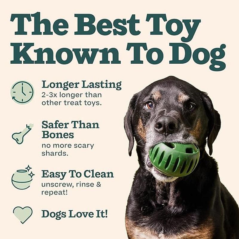Dog Interactive Boredom Treat Molds Silicone Healthy Treats for Puppy Enrichment Chew Toy