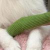 Corduroy Snake Dog Toy Soft Chew Toy Puppy Teething Toy Stuffed Green Snake