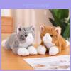 Pluizig Pomeriaans Knuffeldier Kat Poes Auto Decoratie Schattig Kittenkussen Kalmerende Pop