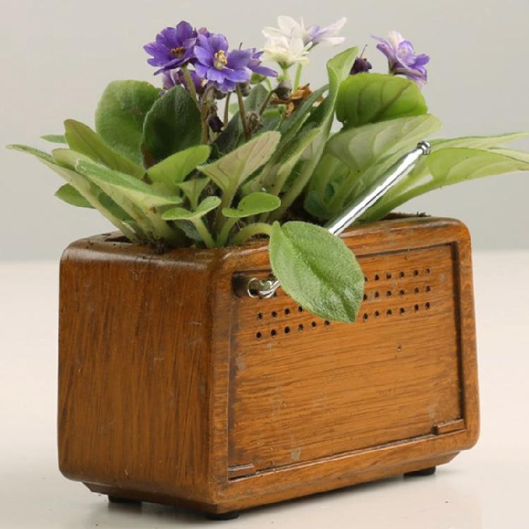 Vaso da Fiori Creativo Forma Radio Vaso da Fiori Pianta Fiorita Succulenta Cont