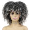 MISS WIG African Descent Lady Short Curly Hair Wig with Bangs African Synthetic High Temperature Fiber Wig Black Cosplay Party Daily Wig