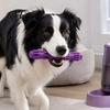 Dog Toys for Boredom And Anxiety Spiky Chew Stick, Indestructible Toy, Teeth Cleaning Safe Odorless Training Toy with Treat Dispensing Hole Aggressive