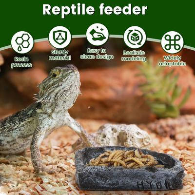 4Pcs Reptile Water Dishes and Food Bowls Resin Amphibian Feeding Bowl Pet Supplies for Frog Chameleon Tortoise Bearded Dragon