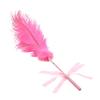 Sex toys sm props couples sex flirting stick feather racket tease stick tune alternative female character toys L648