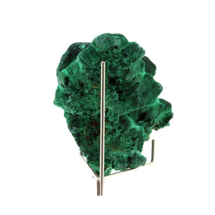 Pierres et Minéraux. Malachite. 557.5 ct. Katanga, Congo.