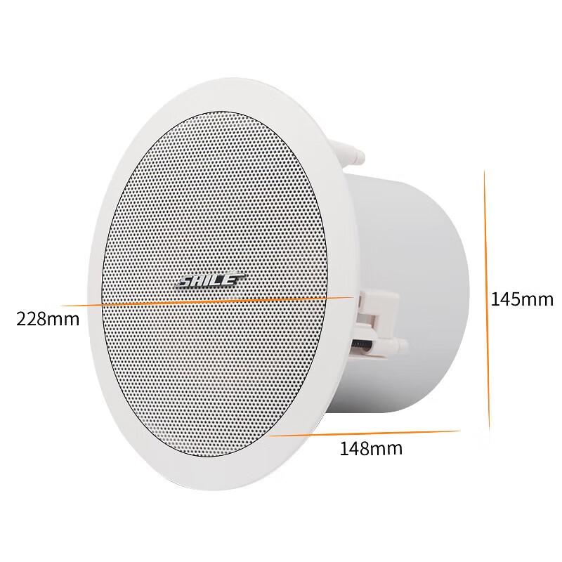 SHILE AV106 1-to-8 Ceiling Speaker System