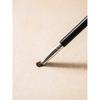 Daiso Point Shadow Brush
