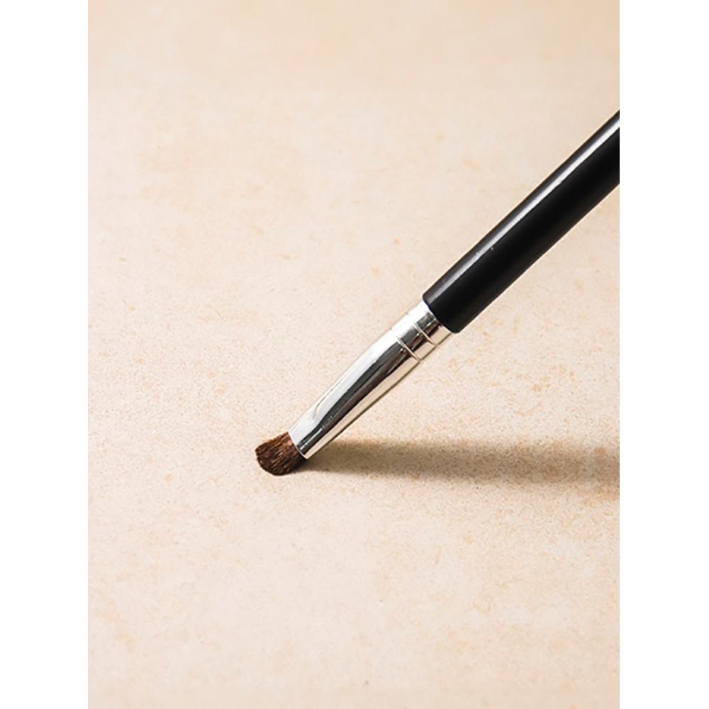 Daiso Point Shadow Brush